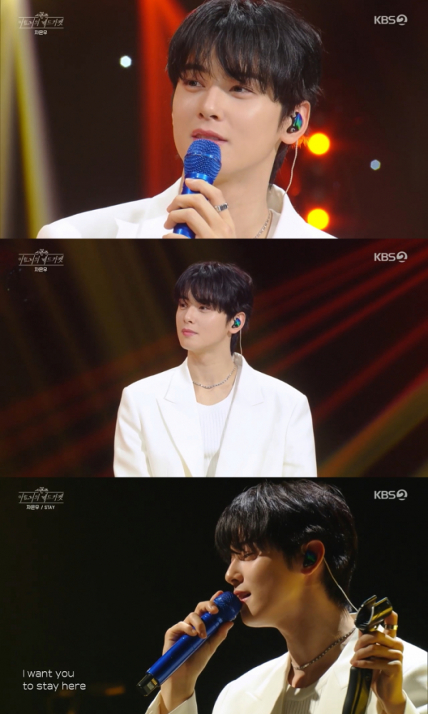 ▲차은우(사진 = KBS 2TV '더 시즌즈-이효리의 레드카펫' 방송 캡처)