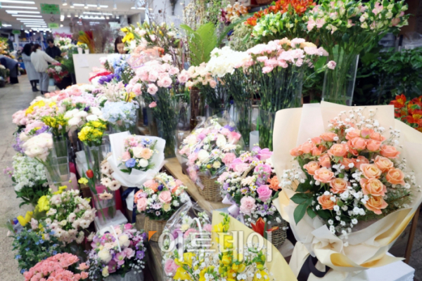 ▲전국이 포근한 날씨를 보인 가운데 서울 서초구 양재화훼공판장 소매시장을 찾은 시민들이 형형색색의 꽃을 구경하고 있다. 신태현 기자 holjjak@