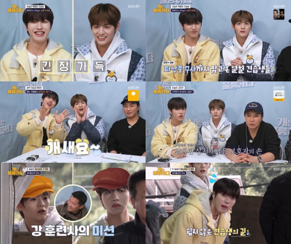 ▲엔싸인(사진 = KBS 2TV '개는 훌륭하다' 방송 화면 캡처)