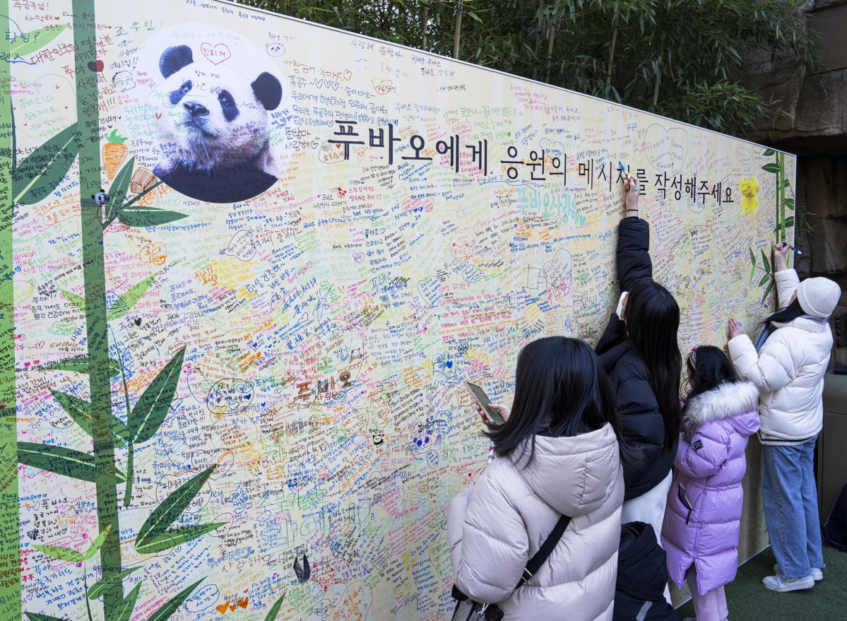▲4월 중국으로 떠나는 푸바오에게 응원 메시지를 남기는 에버랜드 관람객들 (사진제공=삼성물산리조트부문)