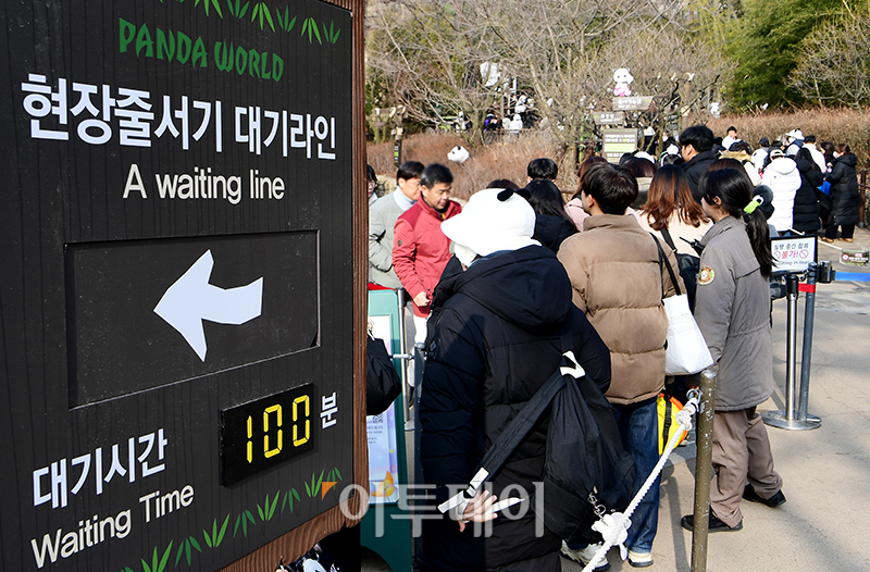 ▲푸바오가 일반 관람객들을 만나는 마지막 날인 3일 오전 용인 에버랜드 판다월드 입구에서 관람객들이 입장을 기다리고 있다. (사진공동취재단)