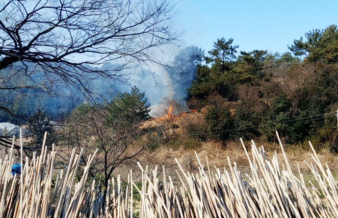 (사진제공=산림청)
