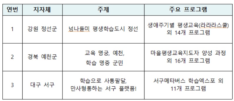 ▲2024년 신규 평생학습도시 주요 사업 내용 (교육부)