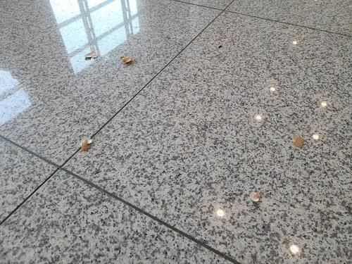▲바닥에 떨어진 달걀 껍질 (연합뉴스)
