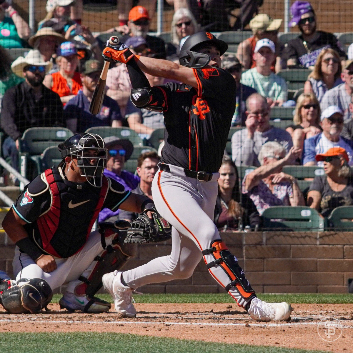 ▲(출처=샌프란시스코 자이언츠 공식 SNS 캡처)
