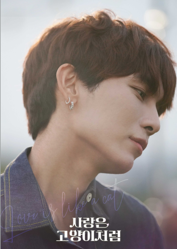 ▲사랑은 고양이처럼(사진제공=스튜디오타켓)