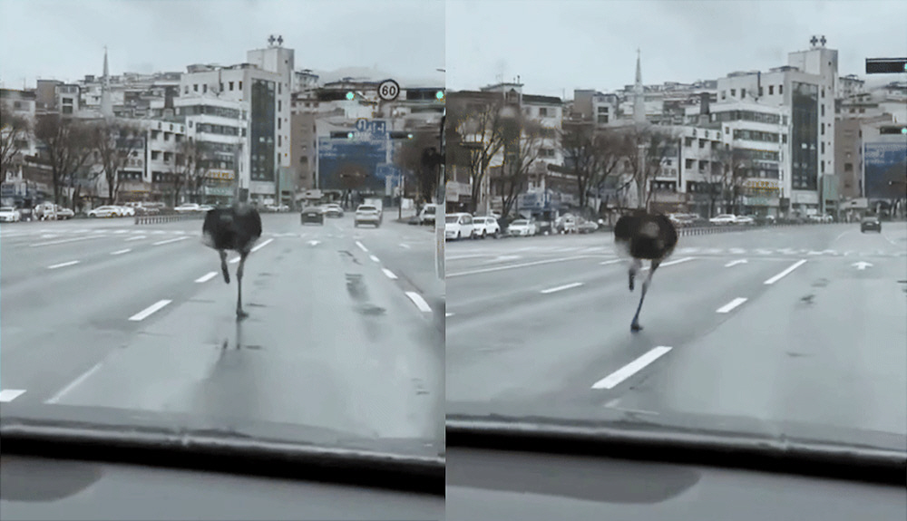 ▲(출처=인스타그램 @namhwi 캡처)