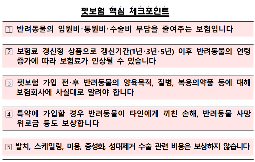 (자료제공=금감원)