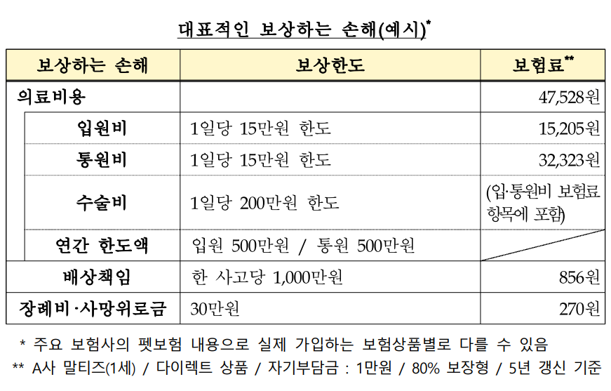 (자료제공=금감원)