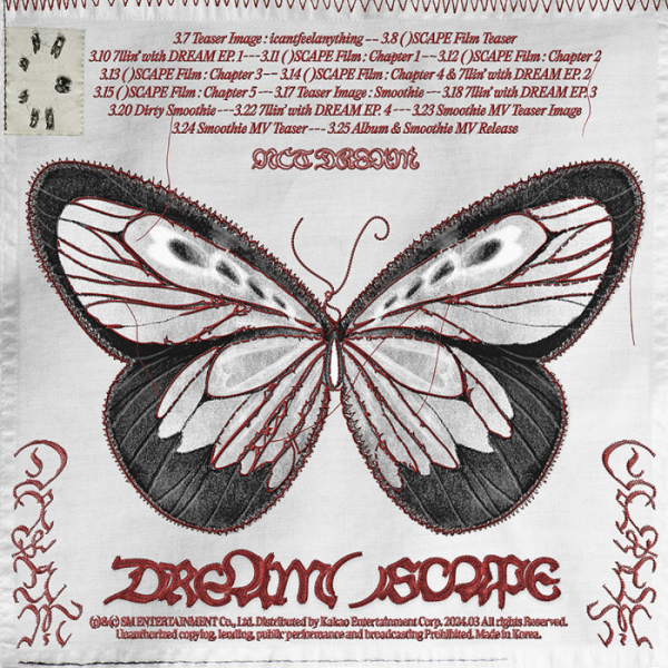 ▲NCT DREAM(사진제공=SM엔터테인먼트)