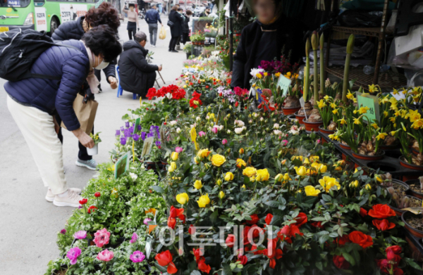 ▲전국이 포근한 봄 날씨에 접어든 7일 오후 서울 종로구 종로꽃시장을 찾은 시민들이 묘목 등을 살펴보고 있다. 조현호 기자 hyunho@