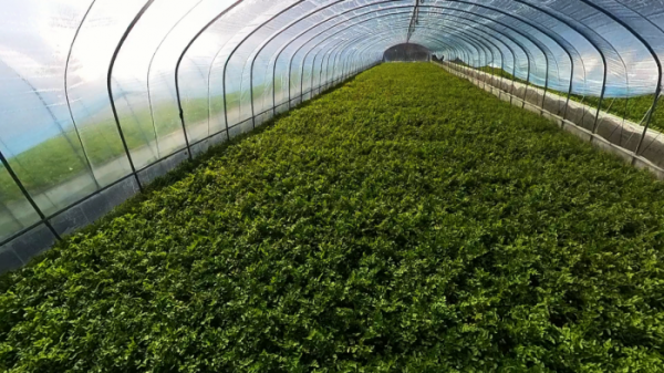 ▲'극한직업'(사진제공=EBS1)