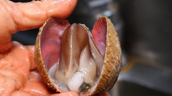 ▲'극한직업'(사진제공=EBS1)