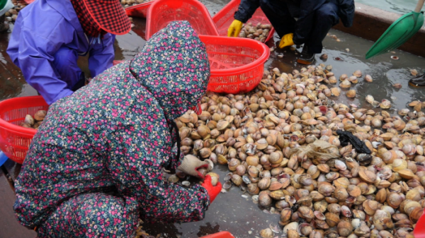 ▲'극한직업'(사진제공=EBS1)