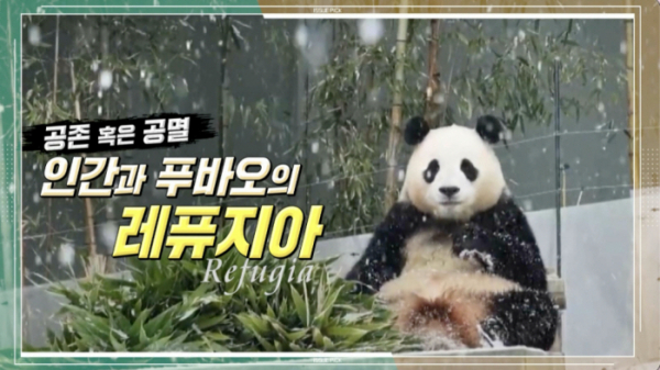 ▲'이슈 PICK 쌤과 함께'(사진제공=KBS 1TV)