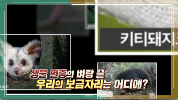▲'이슈 PICK 쌤과 함께'(사진제공=KBS 1TV)