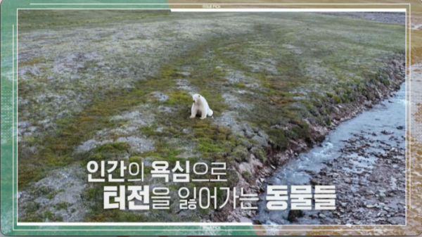 ▲'이슈 PICK 쌤과 함께'(사진제공=KBS 1TV)