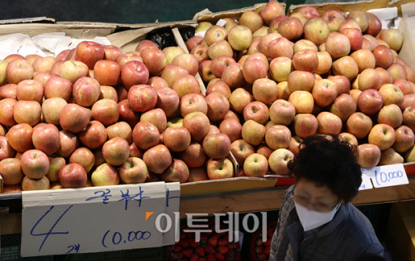 ▲13일 경기 부천 삼산농산물 도매시장에 사과가 진열돼 있다. 고이란 기자 photoeran@
