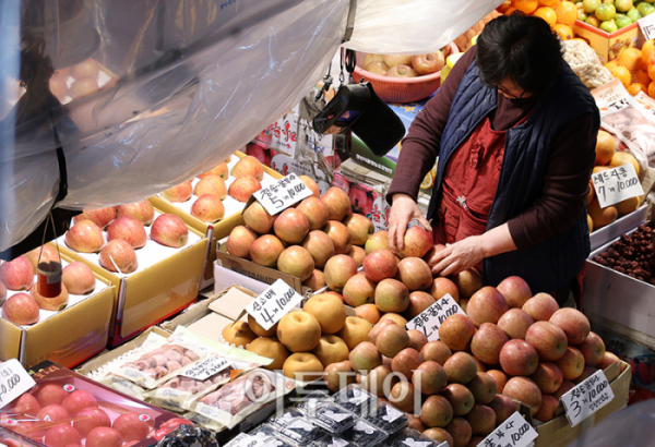 ▲13일 경기 부천 삼산농산물 도매시장에서 한 상인이 사과를 진열하고 있다. 고이란 기자 photoeran@
