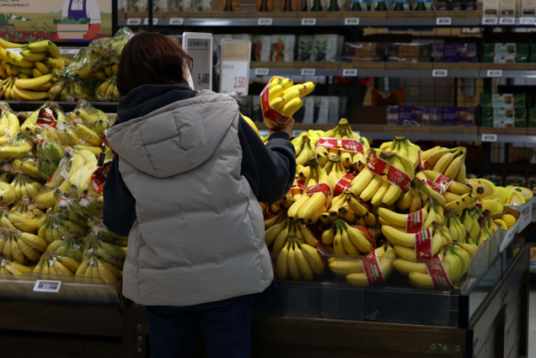 ▲과일값 급등세가 계속 되는 가운데 오렌지와 바나나 등 수입 과일 가격마저 정부의 '무관세' 조치에도 작년보다 오른 것으로 나타났다. 14일 한국농수산식품유통공사(aT) 농산물유통정보 에 따르면 오렌지(미국 네이블) 가격은 이달 중순 기준 10개에 1만7723원으로 지난해 3월 중순(1만6276원)보다 8.9% 올랐다. 바나나 가격은 이달 중순 기준 100ｇ당 338원으로 1년 전(325원)보다 4% 비싸고 무관세 적용 시점인 1월 중순(333원)보다도 높았다. 정부가 과일 가격 안정을 위해 수입 과일에 할당관세를 적용했으나 오히려 값이 올라간 것이다. 이는 생산 비용이 올라가거나 작황이 좋지 않아 수입 전 가격 자체가 상승했기 때문으로 풀이된다. 이날 서울의 한 대형마트에 과일이 진열돼 있다. 신태현 기자 holjjak@