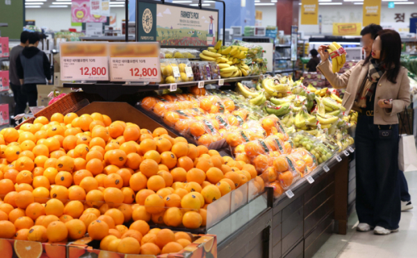 ▲과일값 급등세가 계속 되는 가운데 오렌지와 바나나 등 수입 과일 가격마저 정부의 '무관세' 조치에도 작년보다 오른 것으로 나타났다. 14일 한국농수산식품유통공사(aT) 농산물유통정보 에 따르면 오렌지(미국 네이블) 가격은 이달 중순 기준 10개에 1만7723원으로 지난해 3월 중순(1만6276원)보다 8.9% 올랐다. 바나나 가격은 이달 중순 기준 100ｇ당 338원으로 1년 전(325원)보다 4% 비싸고 무관세 적용 시점인 1월 중순(333원)보다도 높았다. 정부가 과일 가격 안정을 위해 수입 과일에 할당관세를 적용했으나 오히려 값이 올라간 것이다. 이는 생산 비용이 올라가거나 작황이 좋지 않아 수입 전 가격 자체가 상승했기 때문으로 풀이된다. 이날 서울의 한 대형마트에 과일이 진열돼 있다. 신태현 기자 holjjak@
