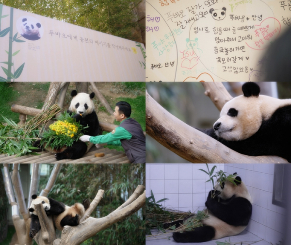 ▲'TV동물농장'(사진제공=SBS)