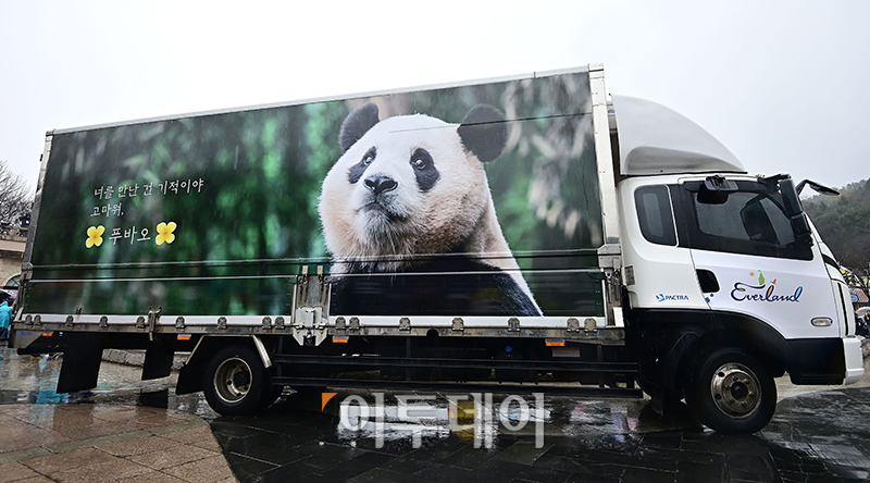 ▲푸바오를 실은 특수차량이 3일 용인 에버랜드 장미원에서 팬들의 배웅을 받으며 이동하고 있다. 사진공동취재단