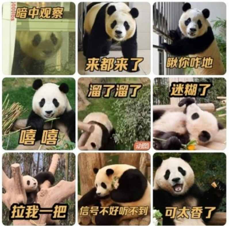 ▲(출처=신화통신 웨이보 캡처)