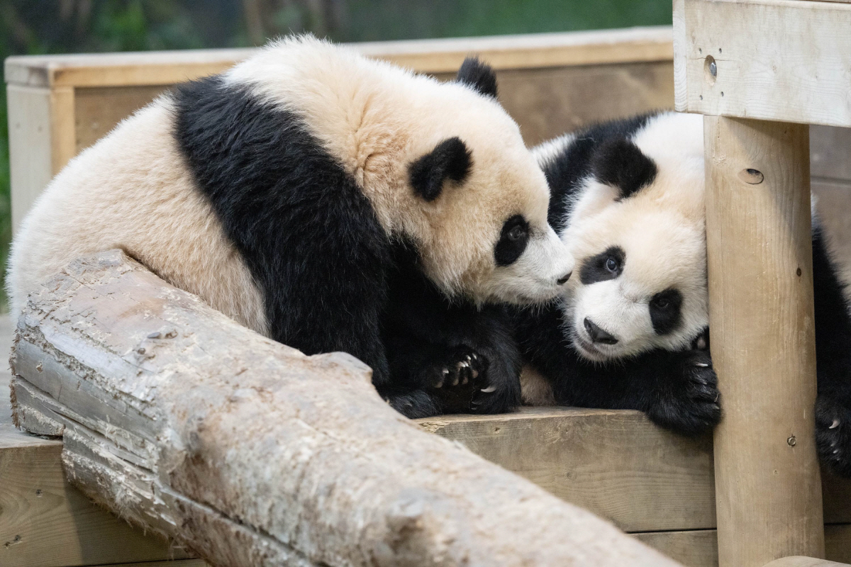 ▲(사진제공=삼성물산)