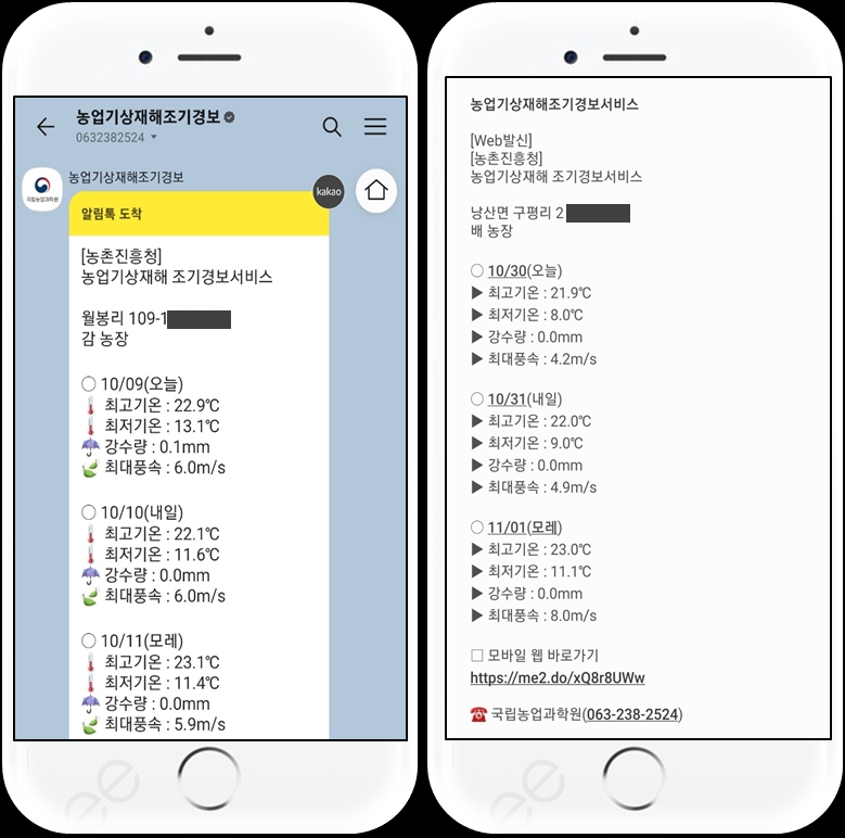 ▲조기경보서비스 알림톡 및 문자 (자료제공=농촌진흥청)