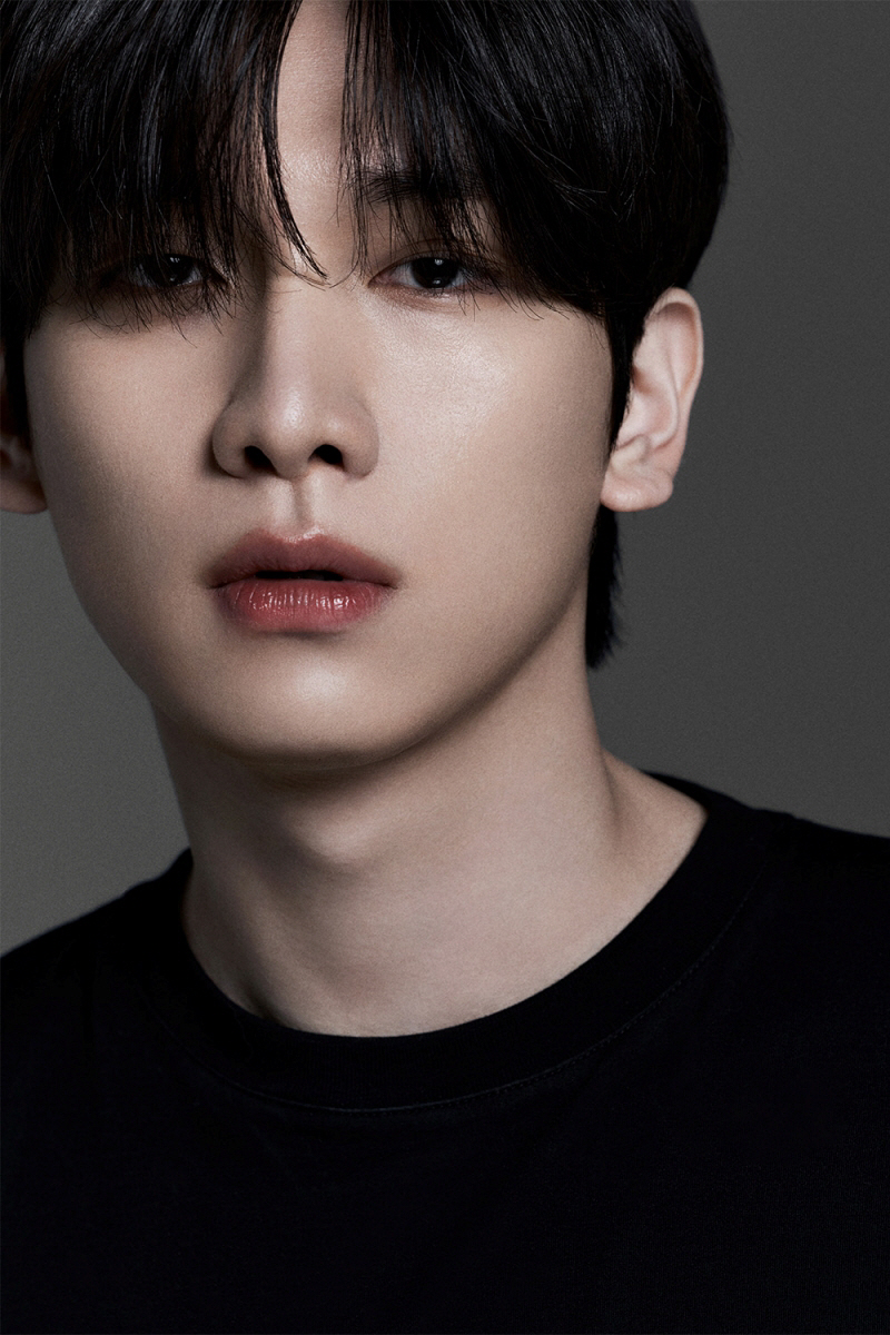 ▲(사진 제공 = 컴패니언컴퍼니)