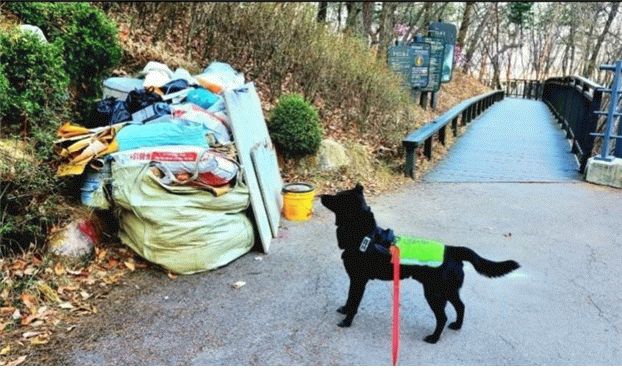 ▲무단적치물을 발견한 우리동네 반려견 순찰대의 모습. (자료제공=서울시)