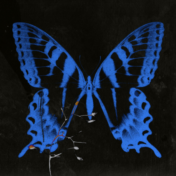 ▲송소희 (사진=매직스트로베리사운드 제공)