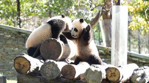 ▲'특파원보고 세계는 지금'(사진제공=KBS1)