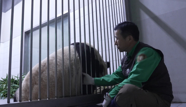 ▲'TV동물농장' (사진제공=SBS)