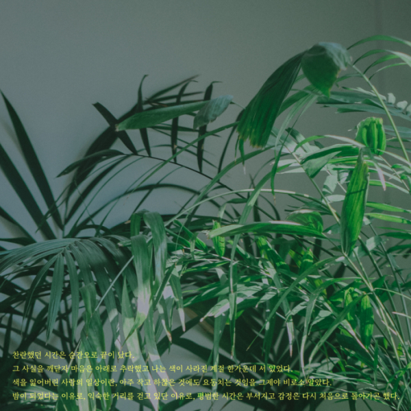 ▲크래커(사진 = EGO GROUP 제공)