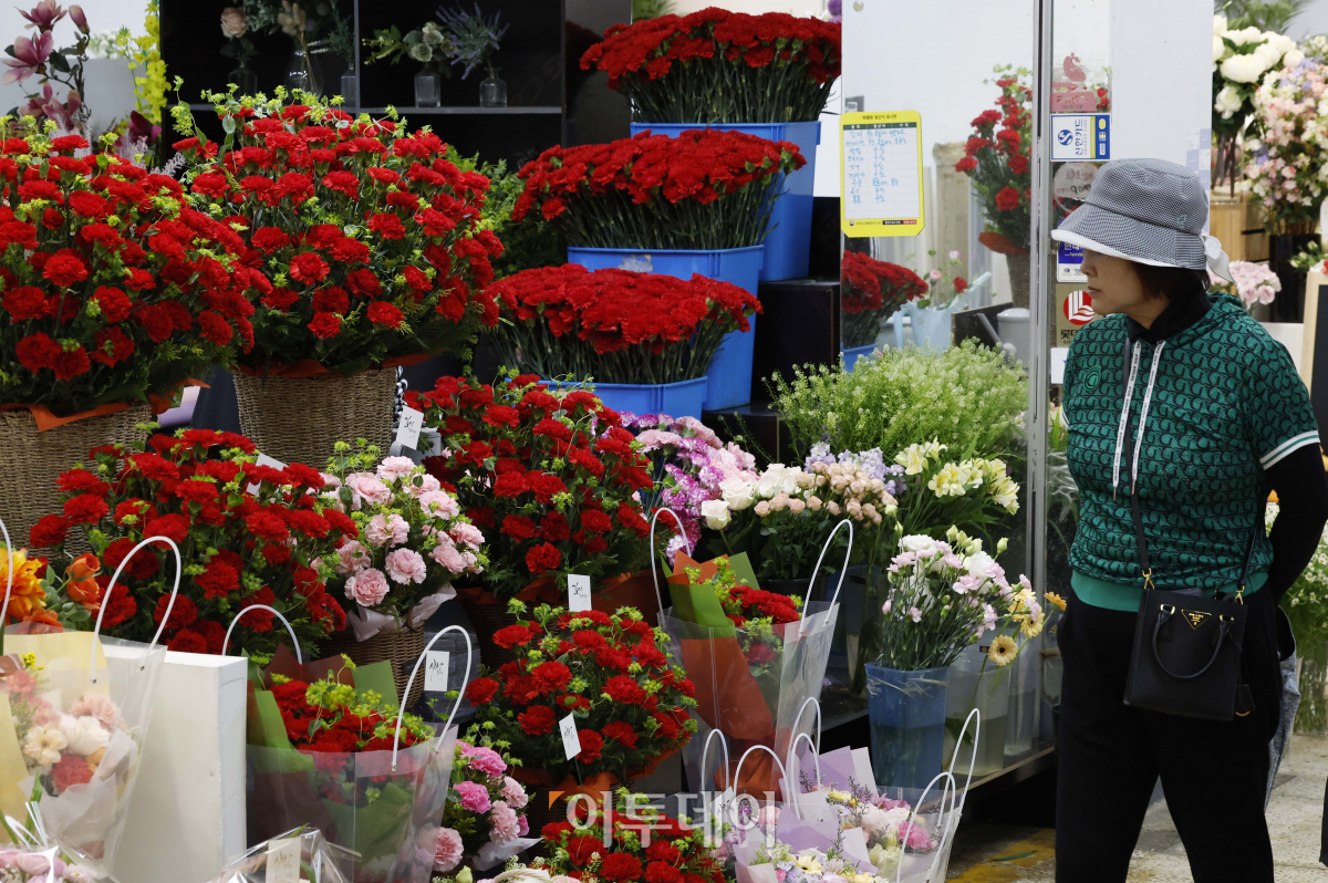 ▲5월 가정의달 부모님과 스승님에게 선물하던 꽃인 카네이션이 점차 외면받고 있다. 카네이션이 선물시장에 점차 외면 받는 것은 실용적인 선물을 선호하는 소비 흐름으로 풀이된다. 화훼유통정보에 따르면 서울 양재동 농수산식품유통공사(aT) 화훼공판장에서 지난달 25일부터 2일까지 일주일간 경매가 이뤄진 카네이션(절화 기준) 총수량은 2만7305단(1단은 20송이)으로 전년 같은 기간(4만1756단)보다 34.6% 감소했다. 한 단당 평균 가격도 8085원으로 지난해 같은 기간(8434원)보다 4.1% 낮아졌다. 국내 여론조사 전문기관 한국리서치가 올해 1월 9일부터 2월 9일까지 전국의 20세 이상 남·녀 500명을 대상으로 ‘안마의자를 선물로 고려하는 시기(복수응답)’에 대해 조사한 결과 절반 이상인 59%가 ‘어버이날’을 꼽기도 했다. 3일 서울 서초구 양재꽃시장을 찾은 시민들이 카네이션을 살펴보고 있다. 조현호 기자 hyunho@