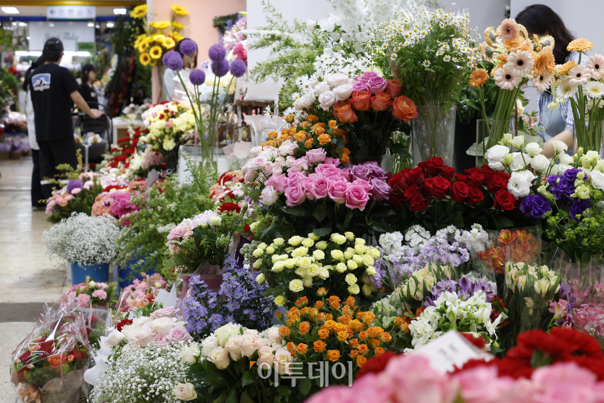 ▲5월 가정의달 부모님과 스승님에게 선물하던 꽃인 카네이션이 점차 외면받고 있다. 카네이션이 선물시장에 점차 외면 받는 것은 실용적인 선물을 선호하는 소비 흐름으로 풀이된다. 화훼유통정보에 따르면 서울 양재동 농수산식품유통공사(aT) 화훼공판장에서 지난달 25일부터 2일까지 일주일간 경매가 이뤄진 카네이션(절화 기준) 총수량은 2만7305단(1단은 20송이)으로 전년 같은 기간(4만1756단)보다 34.6% 감소했다. 한 단당 평균 가격도 8085원으로 지난해 같은 기간(8434원)보다 4.1% 낮아졌다. 국내 여론조사 전문기관 한국리서치가 올해 1월 9일부터 2월 9일까지 전국의 20세 이상 남·녀 500명을 대상으로 ‘안마의자를 선물로 고려하는 시기(복수응답)’에 대해 조사한 결과 절반 이상인 59%가 ‘어버이날’을 꼽기도 했다. 3일 서울 서초구 양재꽃시장을 찾은 시민들이 꽃을 살펴보고 있다. 조현호 기자 hyunho@