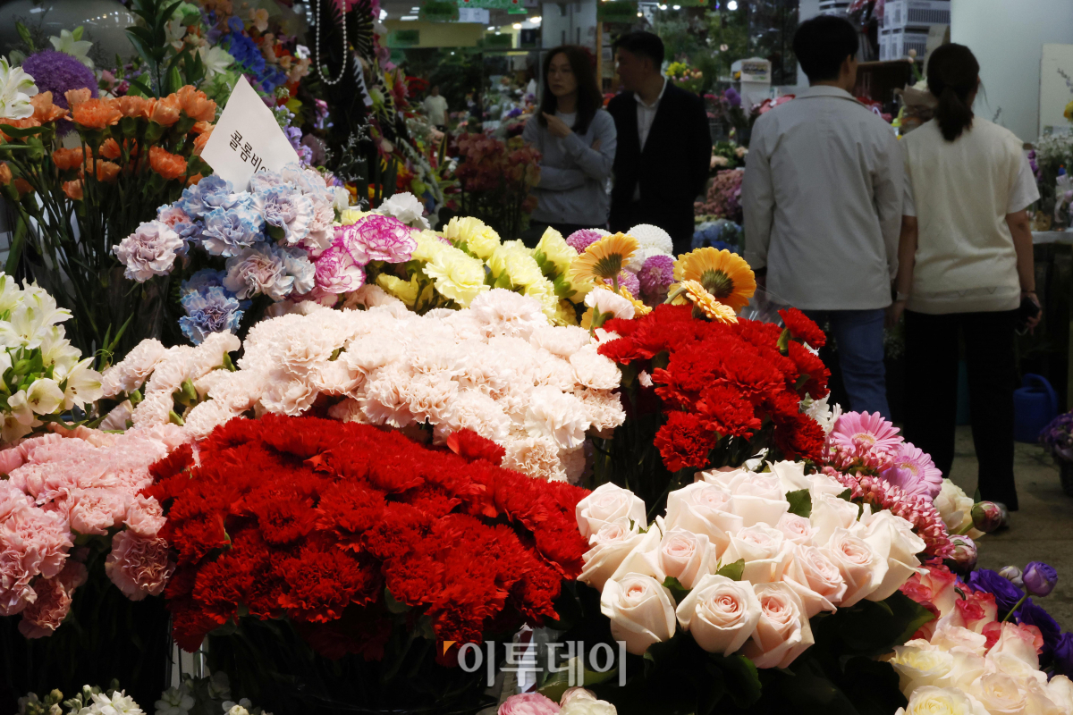 ▲5월 가정의달 부모님과 스승님에게 선물하던 꽃인 카네이션이 점차 외면받고 있다. 카네이션이 선물시장에 점차 외면 받는 것은 실용적인 선물을 선호하는 소비 흐름으로 풀이된다. 화훼유통정보에 따르면 서울 양재동 농수산식품유통공사(aT) 화훼공판장에서 지난달 25일부터 2일까지 일주일간 경매가 이뤄진 카네이션(절화 기준) 총수량은 2만7305단(1단은 20송이)으로 전년 같은 기간(4만1756단)보다 34.6% 감소했다. 한 단당 평균 가격도 8085원으로 지난해 같은 기간(8434원)보다 4.1% 낮아졌다. 국내 여론조사 전문기관 한국리서치가 올해 1월 9일부터 2월 9일까지 전국의 20세 이상 남·녀 500명을 대상으로 ‘안마의자를 선물로 고려하는 시기(복수응답)’에 대해 조사한 결과 절반 이상인 59%가 ‘어버이날’을 꼽기도 했다. 3일 서울 서초구 양재꽃시장을 찾은 시민들이 카네이션을 살펴보고 있다. 조현호 기자 hyunho@
