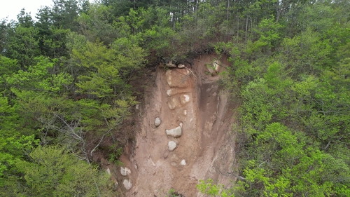 ▲경주 토함산 석굴암 위쪽에 산사태가 발생한 모습. (사진제공=녹색연합)