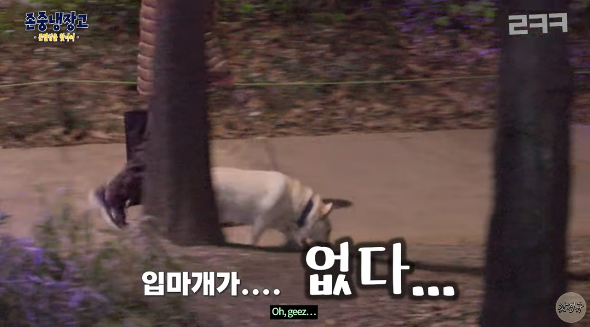 (출처=유튜브 채널 '르크크 이경규' 캡처)