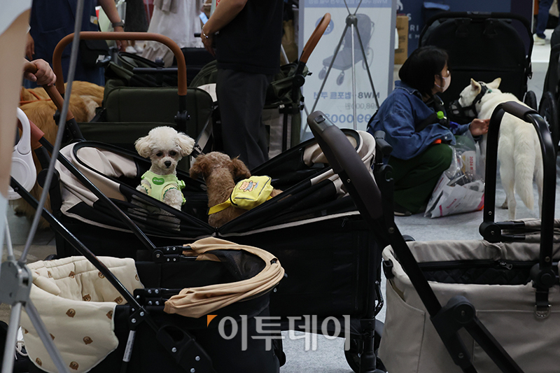 ▲'편안한 승차감'
