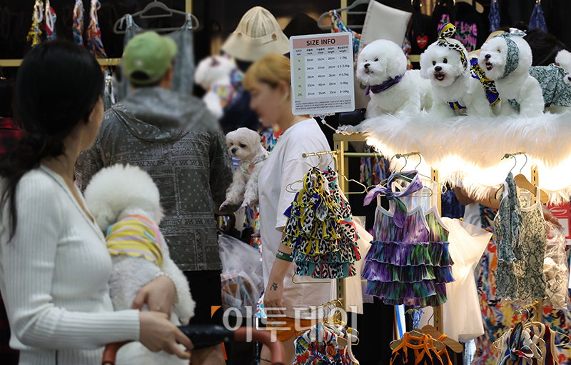 ▲'내 스타일이야'