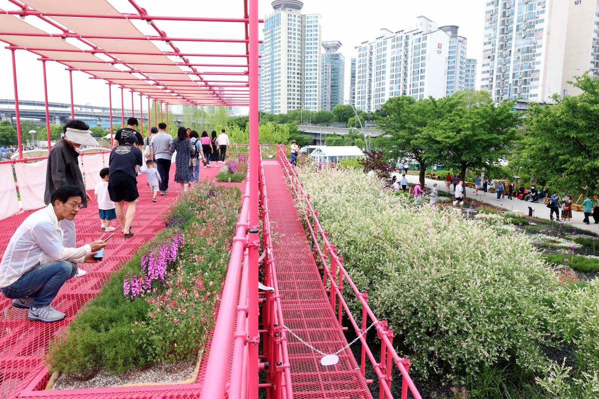 ▲25일 서울 광진구 뚝섬한강공원 일대에서 열린 ‘2024 서울국제정원박람회’를 찾은 시민들이 싱그러운 계절의 정취를 만끽하고 있다. 신태현 기자 holjjak@