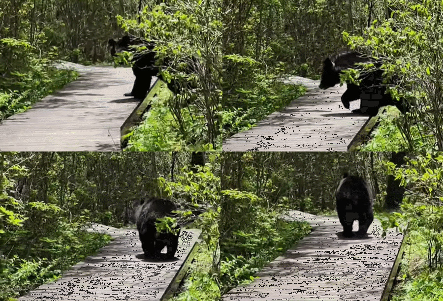 (출처=인스타그램 (@aanna0207) 캡처)