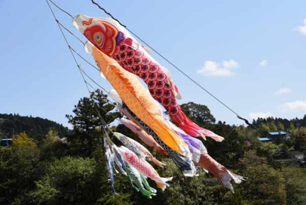 ▲일본에서는 어린이날에 ‘코이노보리’라고 불리는 잉어 깃발을 걸어두는 풍습이 있다. 출처 게티이미지뱅크