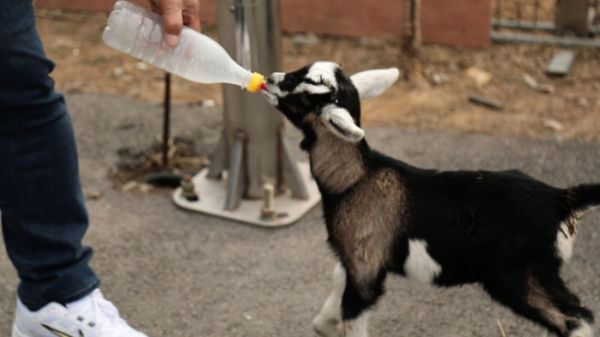 ▲'동네 한 바퀴' 진안 (사진제공=KBS 1TV)