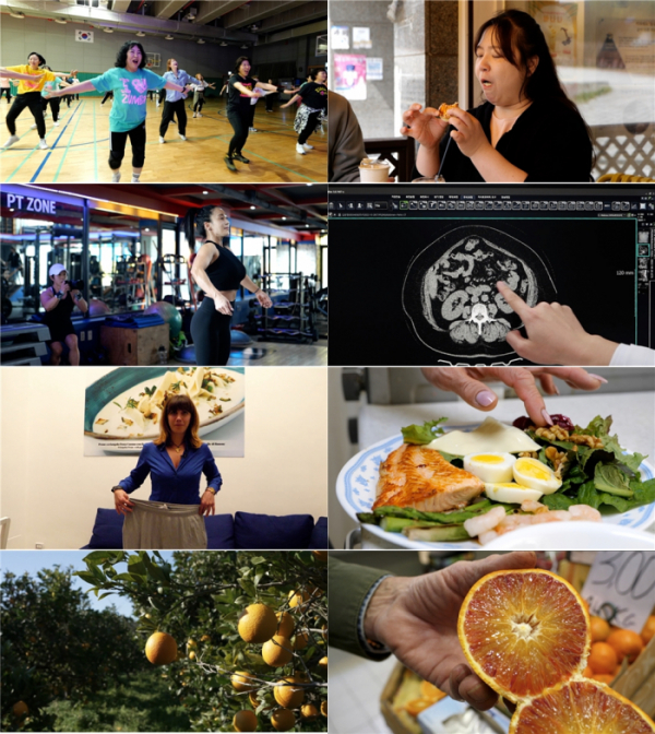 ▲'다큐프라임'(사진제공=MBC)