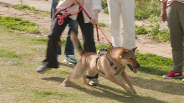 ▲'개능 훌륭하다' 이쁘니(사진제공=KBS2)