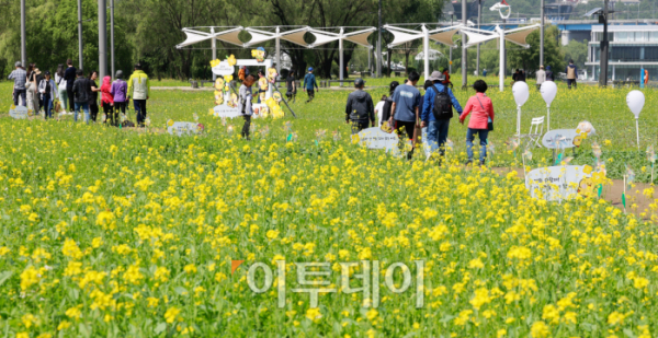 ▲2024 한강 서래섬 유채꽃 축제 개막 후 첫 주말을 맞은 12일 서울 서초구 서래섬을 찾은 시민들이 즐거운 시간을 보내고 있다. 10일 개막한 한강 서래섬 유채꽃 축제는 '유채찬란'을 주제로 19일까지 열린다. 축제에서는 푸르른 한강과 함께 펼쳐진 노란 유채꽃을 감상하면서 밀짚모자 만들기 체험, 어쿠스틱 밴드·비눗방울 공연 등 다양한 체험과 공연을 즐길 수 있다. 조현호 기자 hyunho@